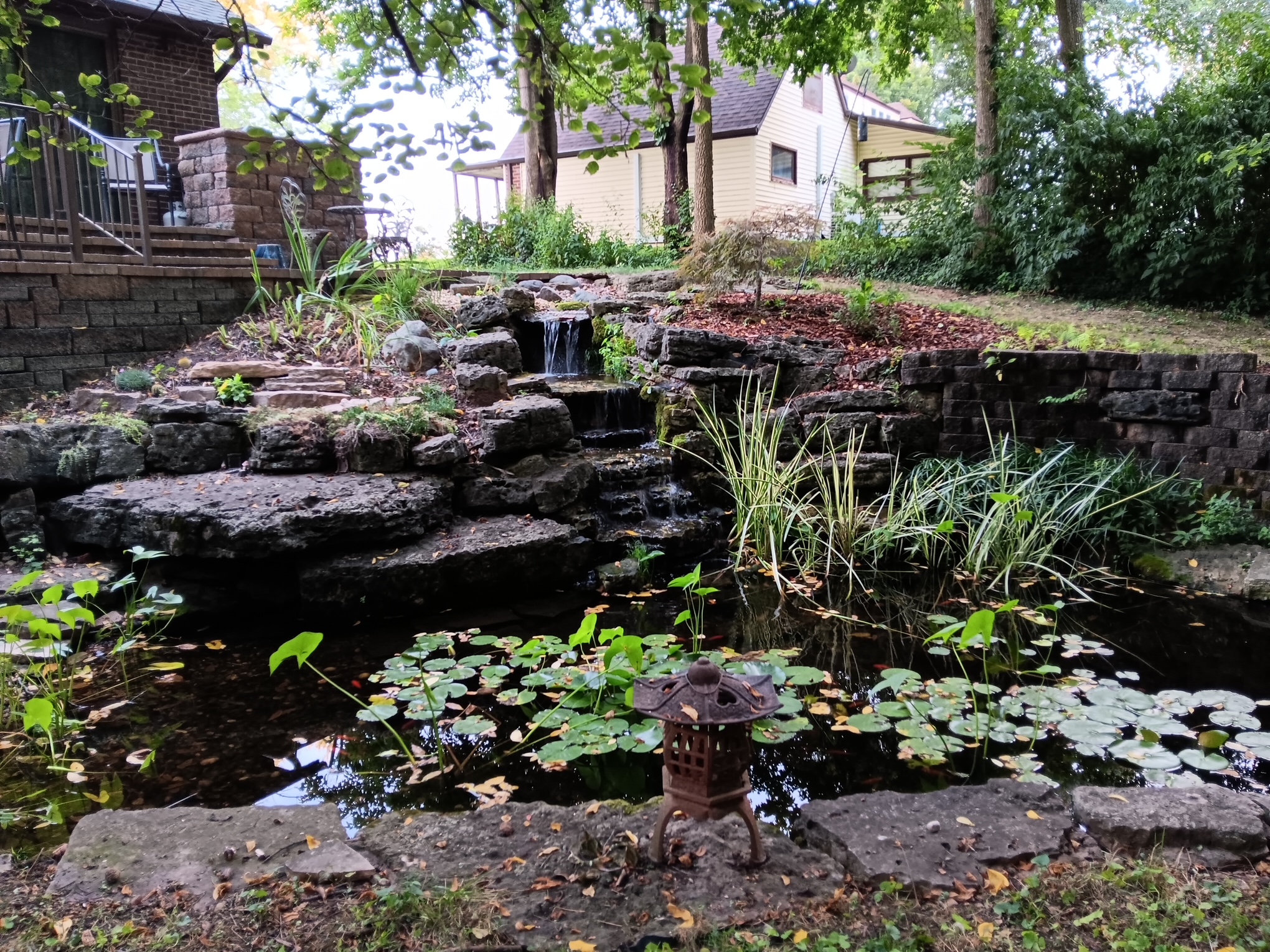 Garden photo